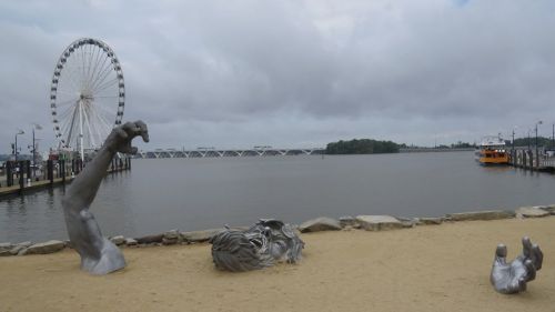 The Awakening, National Harbor